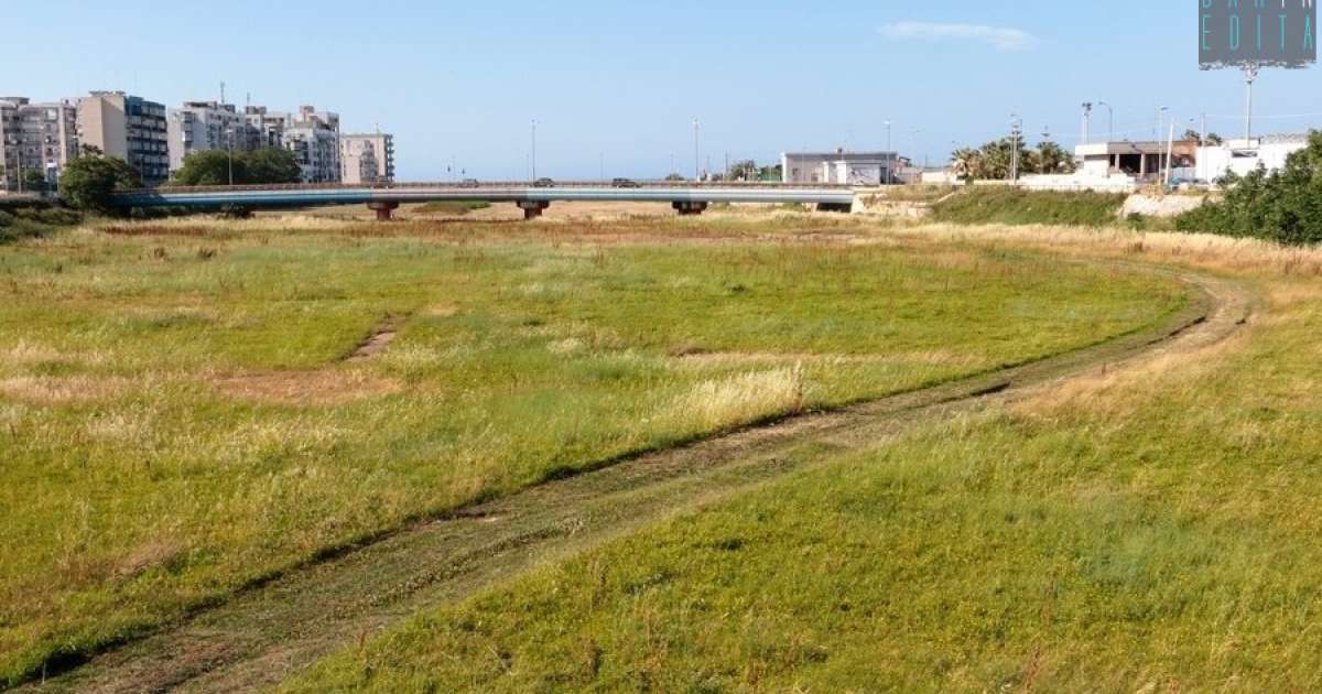 Bunker, balene preistoriche, partite di pallone e mare: le mille storie del Canalone